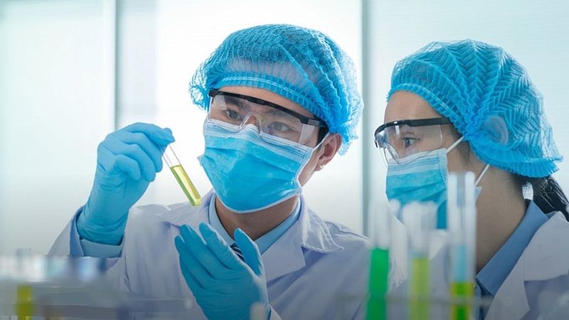 药用辅料纯度检测：标准解读与重要性