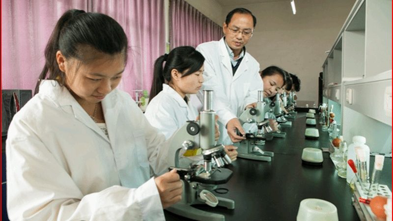 小型实验室制粒机：揭秘其价格构成与选购要点