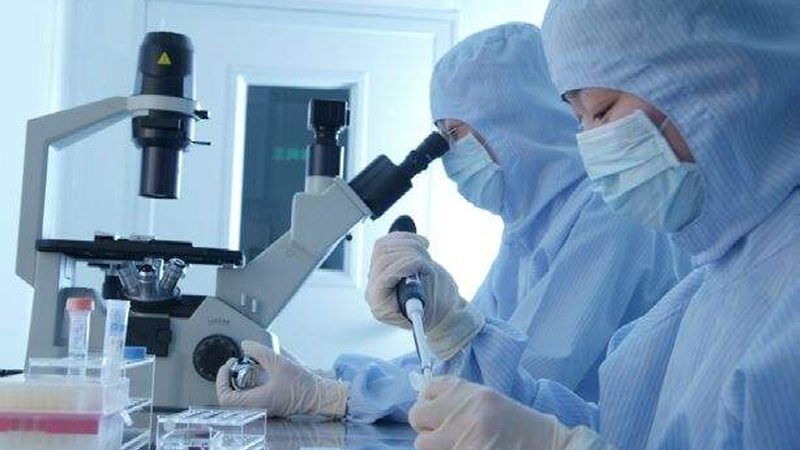 中药提取物价格之谜：揭秘影响价格的关键因素