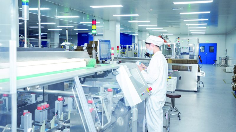 中药材出口报关海运流程全解析